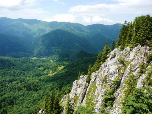 Rezervatia naturala Padis